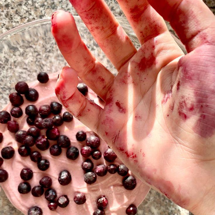 Artisanal Berry Collection: Orchard Kissed